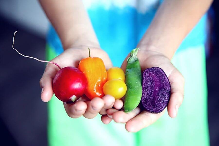 woman-holding-vegetables-in-hands