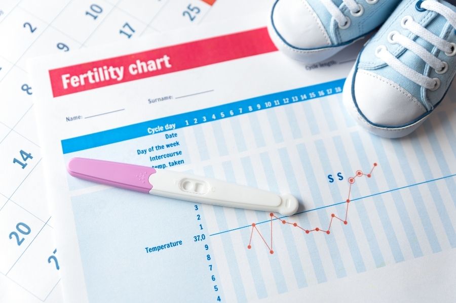 Ovulation as Fertility Treatment Options Other Than IVF