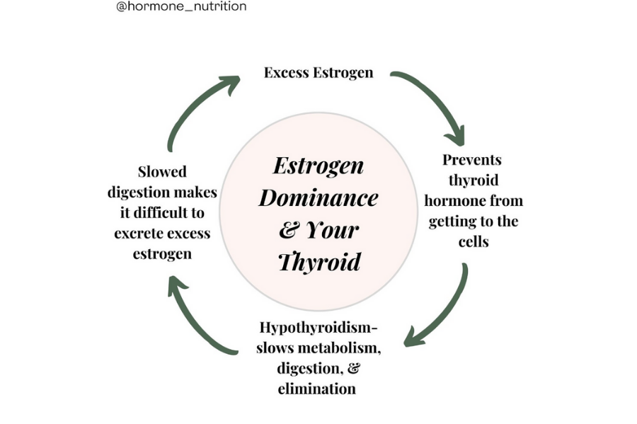 Thyroid and Fertility (3)