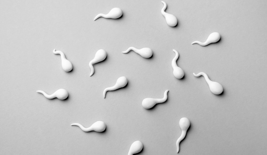 sperm cells illustrating male fertility and sperm health