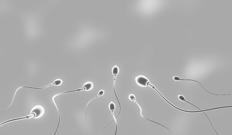 semen analysis used to evaluate sperm count, motility, and morphology in male fertility testing